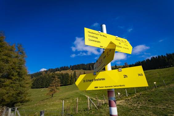 Wanderrouten im Naturpark Almenland