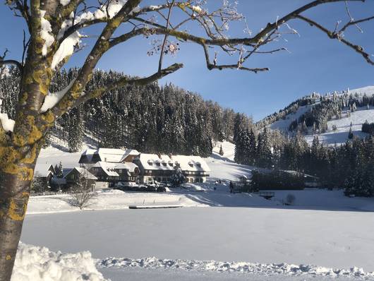 Winter rund um das Hotel Teichwirt im Naturpark Almenland