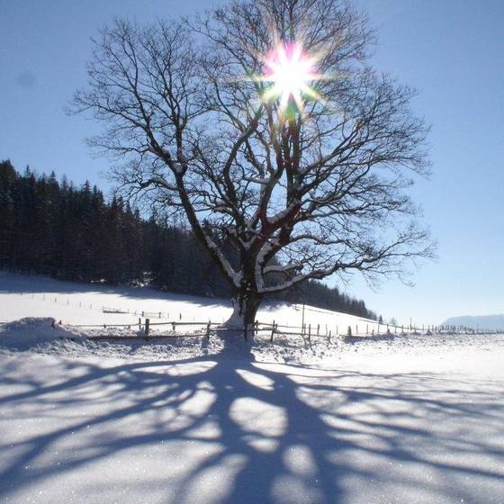 Winterlandschaft
