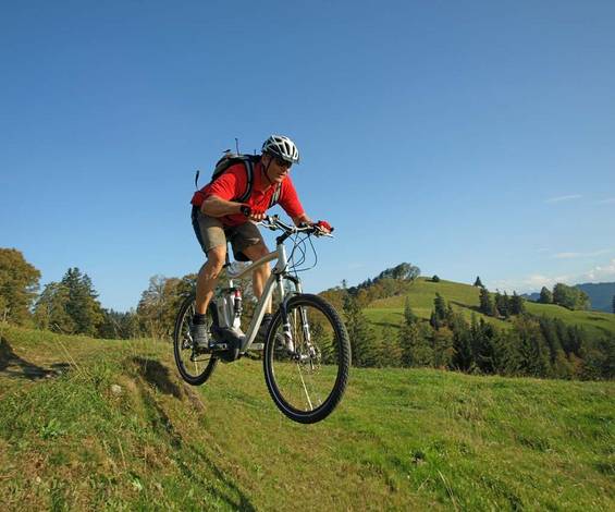 Radfahr rund um den Teichwirt Radfahr rund um den Teichwirt