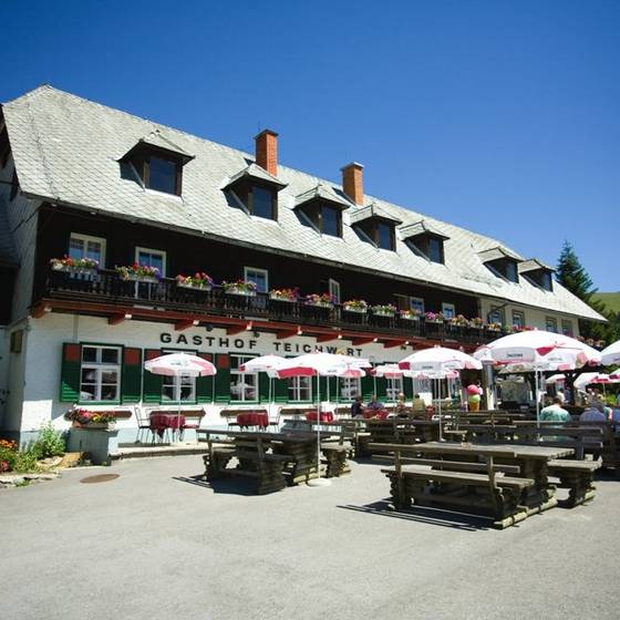 Terrasse Almgasthof