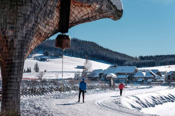 Langlaufen rund um das Hotel Teichwirt