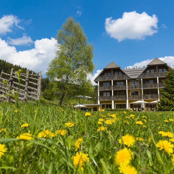 Ansicht des Hotel Teichwirt