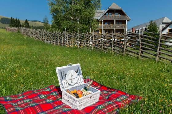 Picknick auf der Teichalm