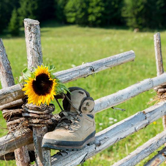 Wandern auf der Teichalm