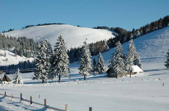 Winterlandschaft rund um das Hotel Teichwirt