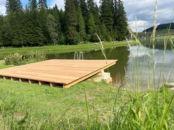 Der Holzsteg am Teichalmsee