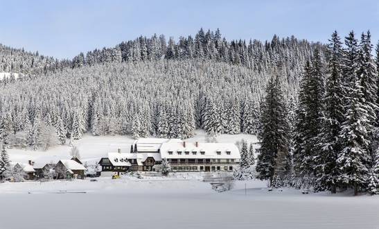 Genießen Sie Ihre Auszeit am Teichalmsee