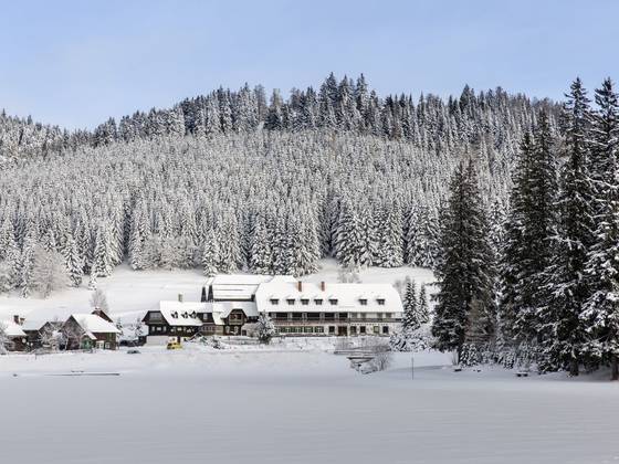 Das Hotel Teichwirt am See im Winter