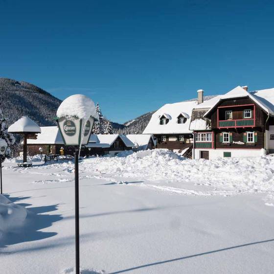 Hotel Teichwirt im Schnee