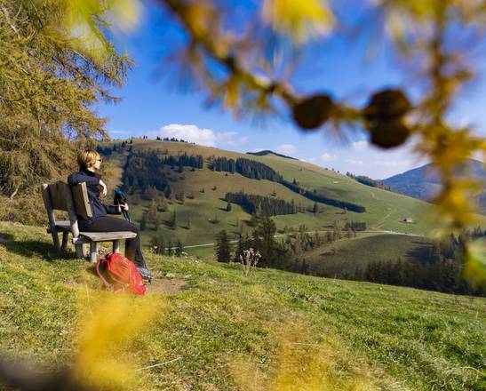 Wanderfreude auf der Teichalm