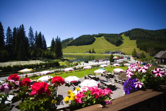 Aussicht vom Almgasthof Teichwirt