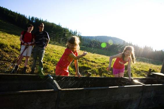 Wandern rund um das Hotel Teichwirt