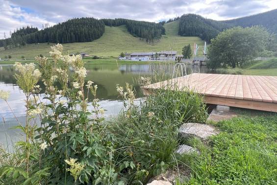 Zwischen Schilfblumen & Almwiesen liegt der Holzsteg - nur wenige Schritte vom Teichwirt entfernt.