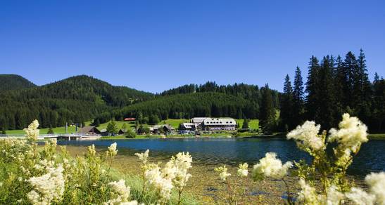 Genießen Sie Ihre Auszeit am Teichalmsee