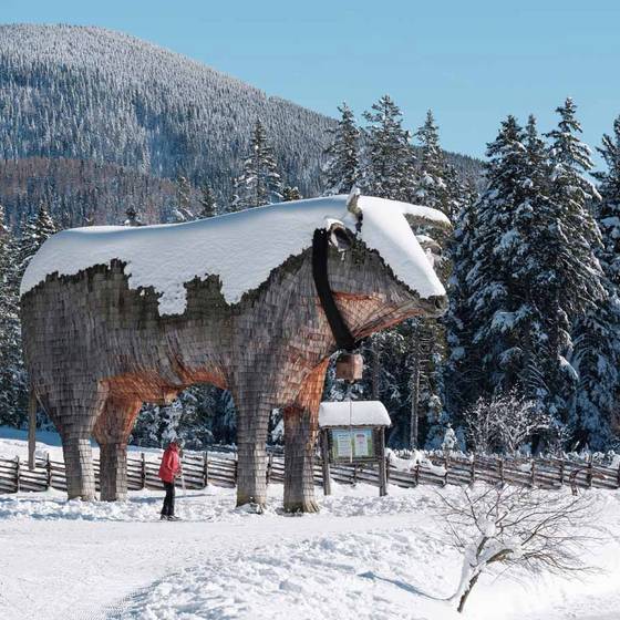 Teichalm Ochse im Winter