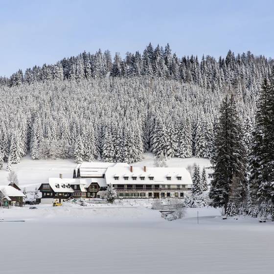Hotel Teichwirt im Winter