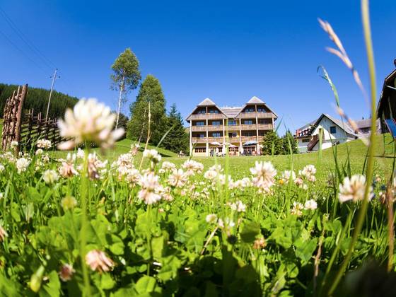 Außenansicht vom Almgasthof Hotel Teichwirt im Sommer