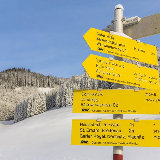 Wegweiser Winter