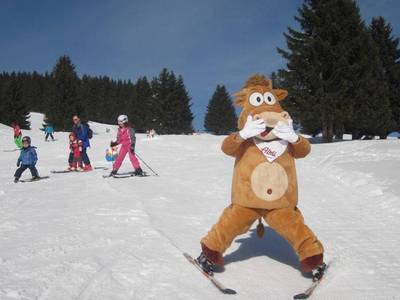 Schifahren in der Region vom Almgasthof Hotel Teichwirt