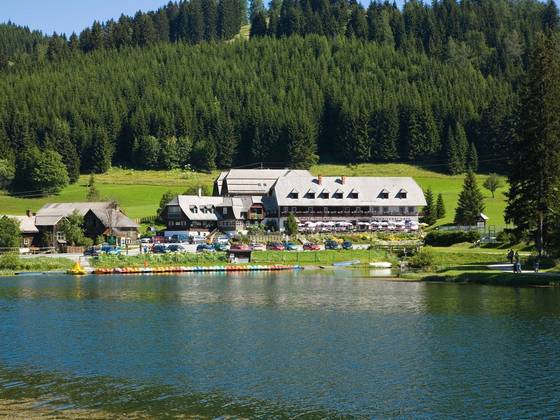 Hotel Teichwirt am Teichalmsee