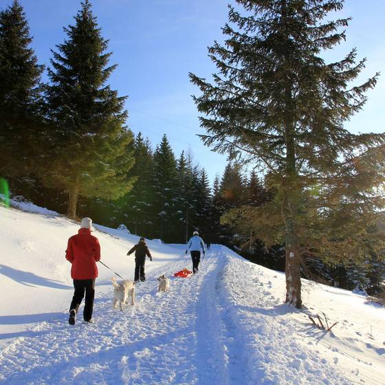 Winter auf der Teichalm