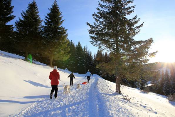 Winterspaziergang rund um das Hotel Teichwirt